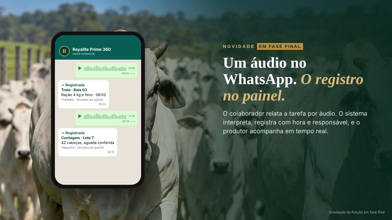 Simulação de áudios no WhatsApp transformados em registros no painel
